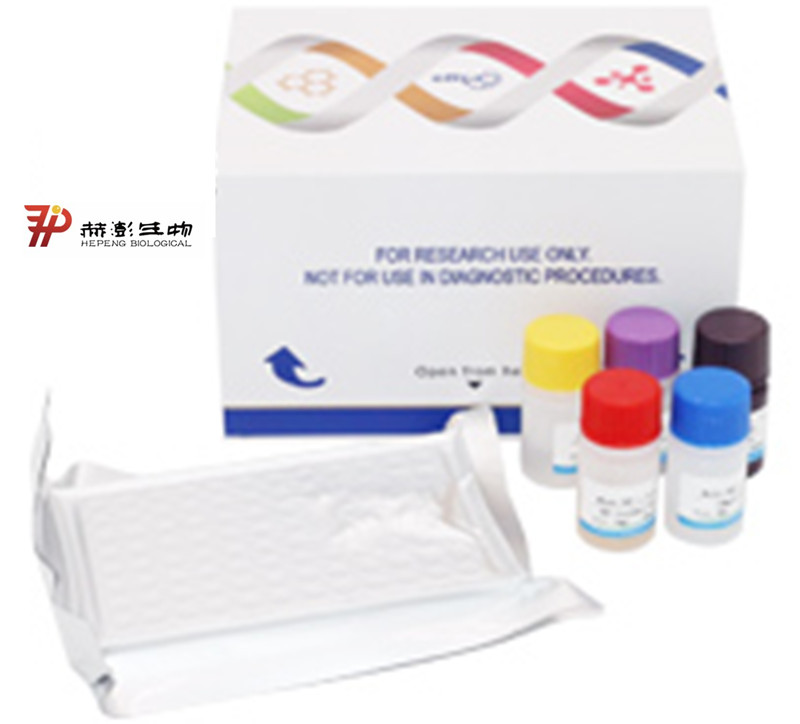 ?細(xì)胞ATP/ADP/AMP含量高效液相色譜法（HPLC）定量檢測(cè)試劑盒